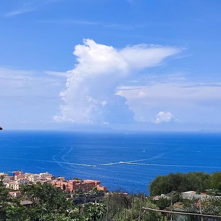 Olindo Apartment E Cristina Apartments Vico Equense Εξωτερικό φωτογραφία