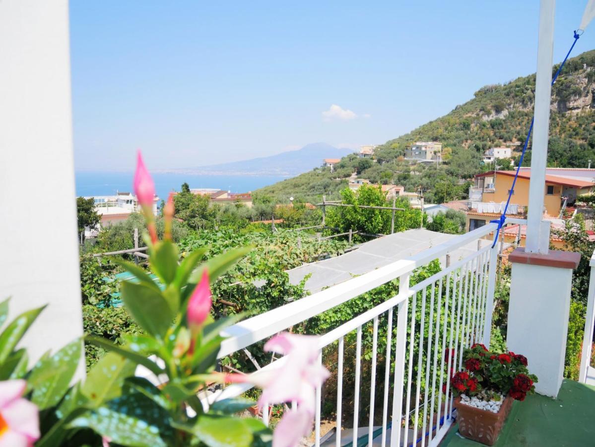 Olindo Apartment E Cristina Apartments Vico Equense Εξωτερικό φωτογραφία