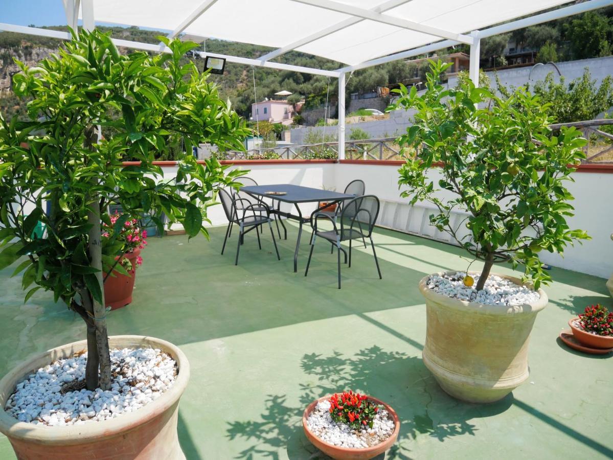 Olindo Apartment E Cristina Apartments Vico Equense Εξωτερικό φωτογραφία